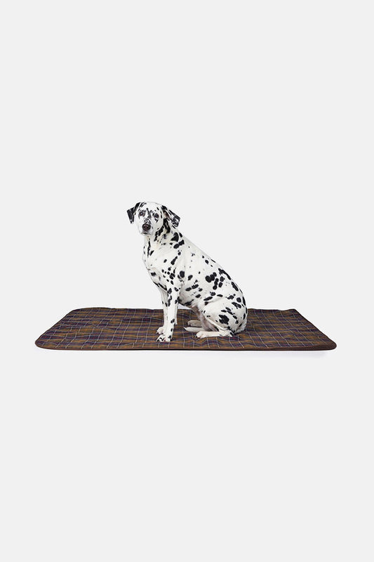 Large Dog Blanket