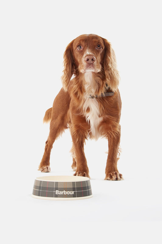 Tartan Dog Bowl